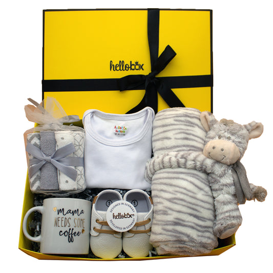 Welcome New Additions with Elegantly Crafted Newborn Baby Gift Baskets from Helloboxshop.de for France