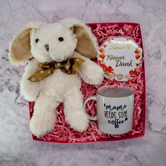 Newborn girl gift set with plush bunny