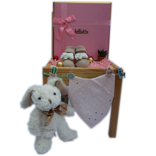 Baby Gift for Newborn Girl -VERY SPECIAL | BABY GIRL GIFT BASKET