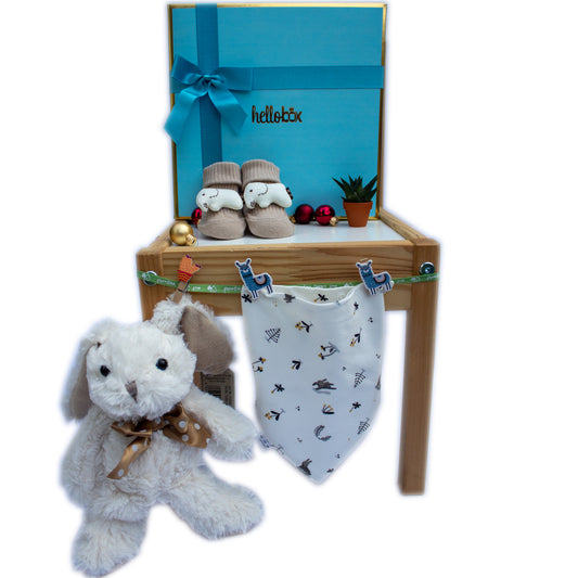 MY CUDDLY FRIEND BUNNY | BABY GIFT | BABY GIFT BASKET FOR BOYS