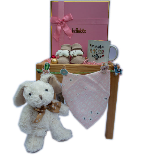 Baby Gift for Newborn Girl -BABY GIFT BASKET | LITTLE PRINCESS